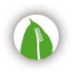 Logo: Mulberry Dental Center